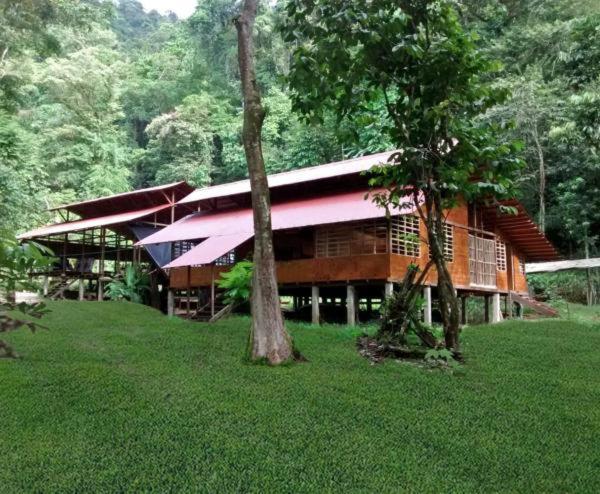 Safio. Una Casa En El Paraiso. Nuquí Exteriér fotografie
